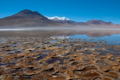 Altiplano000