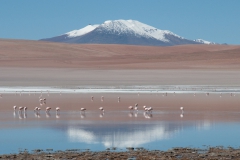 Altiplano001