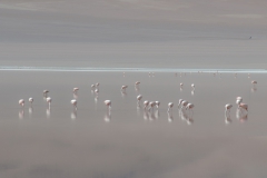 Altiplano002