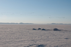 Altiplano008