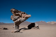 Altiplano014