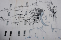Georgetown Street Art008