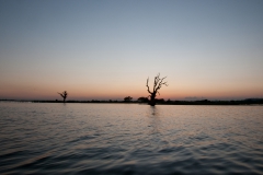 Landscapes003