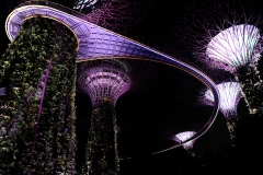 Singapore at Night_11