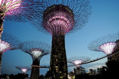 Singapore at Night_12