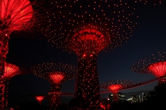 Singapore at Night_13