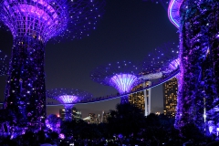 Singapore at Night_14