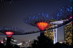 Singapore at Night_16