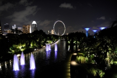 Singapore at Night_17