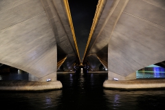 Singapore at Night_19